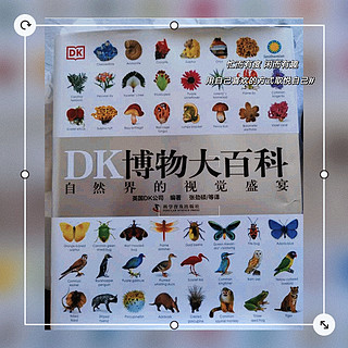 《DK博物大百科：自然界的视觉盛宴》：全年龄段的科普百科全书