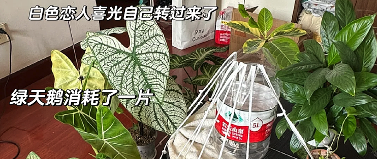旅游旺季，网友们自制12款“神器”，真的解决了我的燃眉之急！