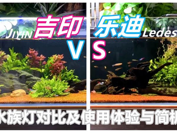 吉印VS乐迪水族灯使用效果对比，结果竟是？