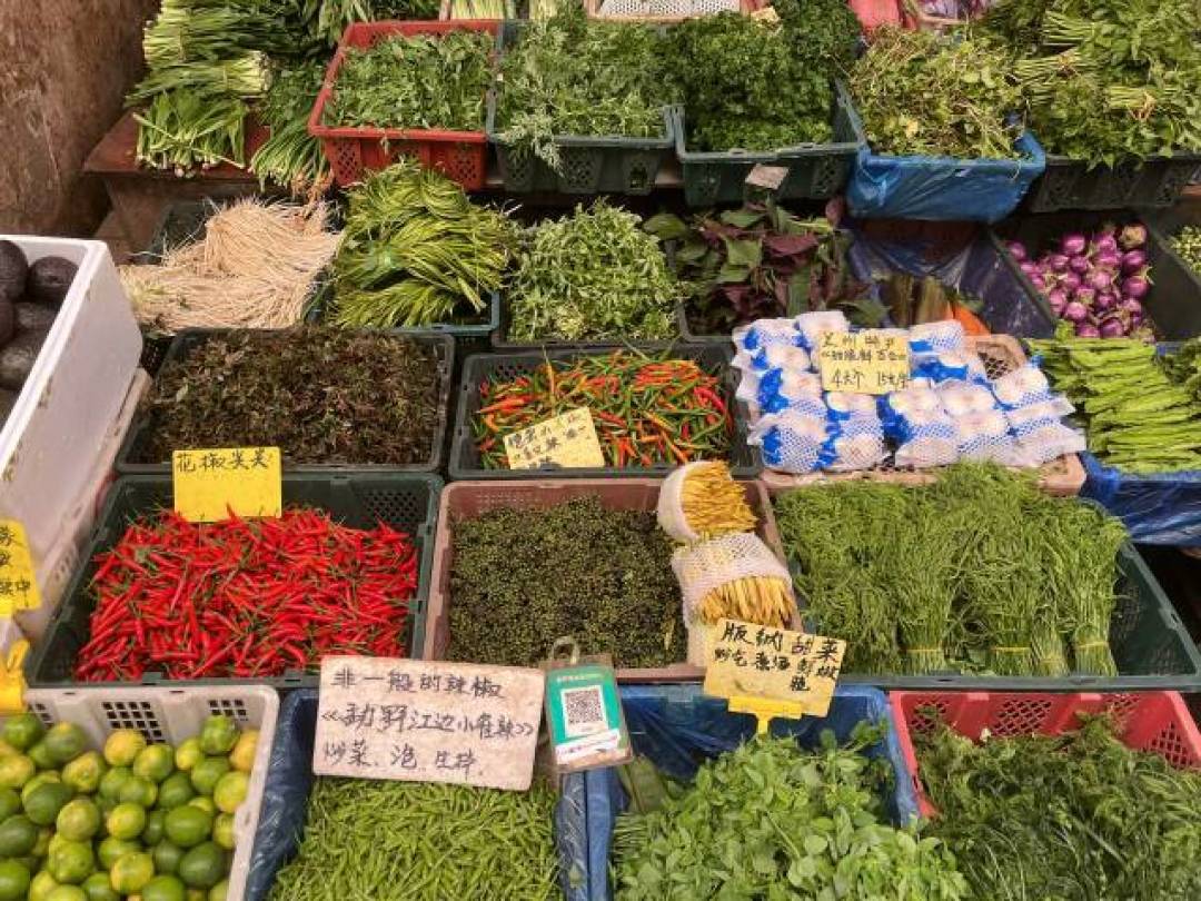 安逸不输成都!夏季均温24℃!堪称国内“避暑王者”的省会,藏着夏日里的应季珍馐!