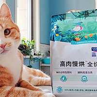 猫咪好粮不怕晚—— 蓝氏高肉慢烘系列乳鸽烘焙猫粮评测