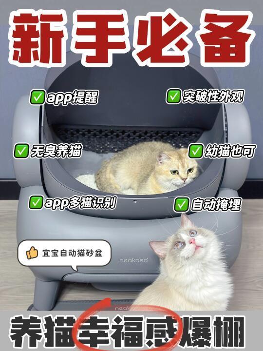 懒人养猫幸福感爆棚！新手必备！