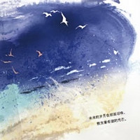 《海鸥乔纳森》：飞翔的梦想与生命的自由