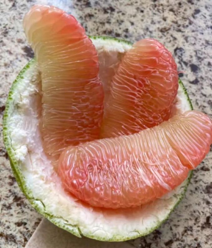 鲜福林柚子