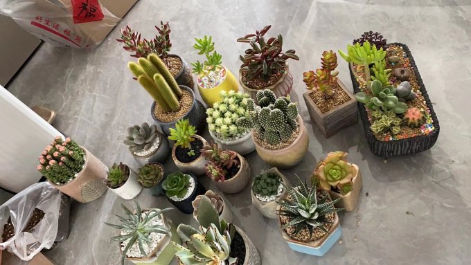 奥美优花盆