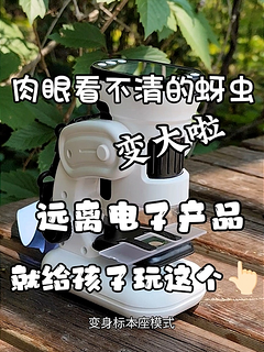 远离电子产品，让孩子玩这个吧