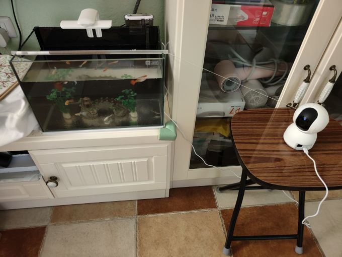 自制简易自动喂鱼器用摄像头把鱼喂了
