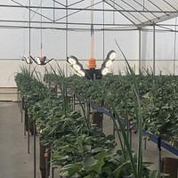 植物照明补光灯：点亮植物生长的秘密武器