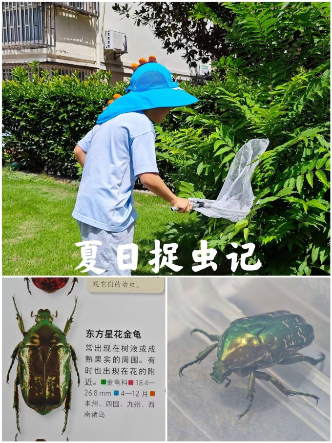 驱虫用品