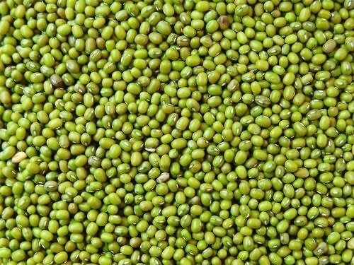 夏日绿豆食用小贴士