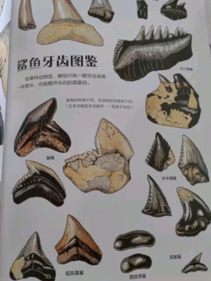 海峡文艺出版社科普/百科