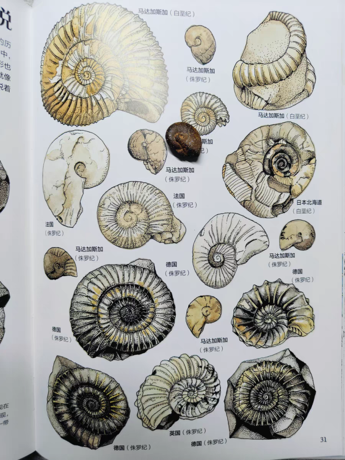 海峡文艺出版社科普/百科