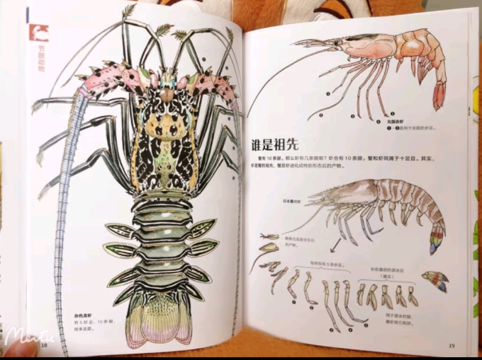 后浪出版公司科普/百科