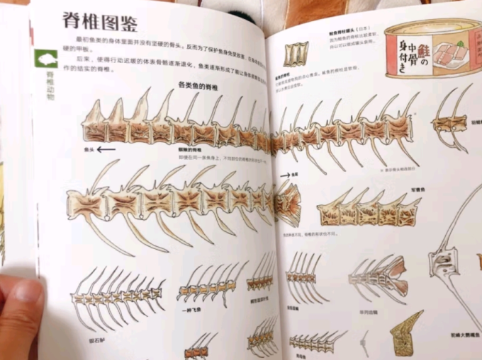 后浪出版公司科普/百科