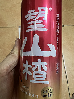 观赛必备——酒精上头吗？那就来点望山楂吧！