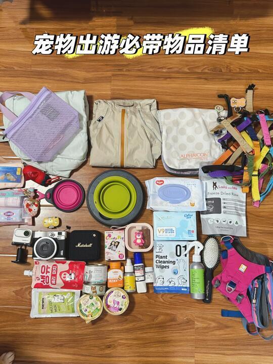 宠物出游｜小狗短途2-3天旅行带什么？？？