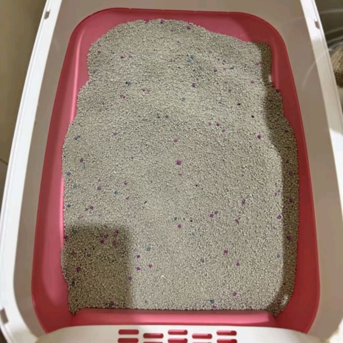 沃趣猫砂
