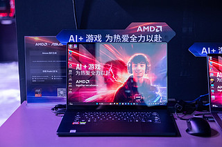 ChinaJoy2024：AMD携手华硕推出多款锐龙AI 300系列新品