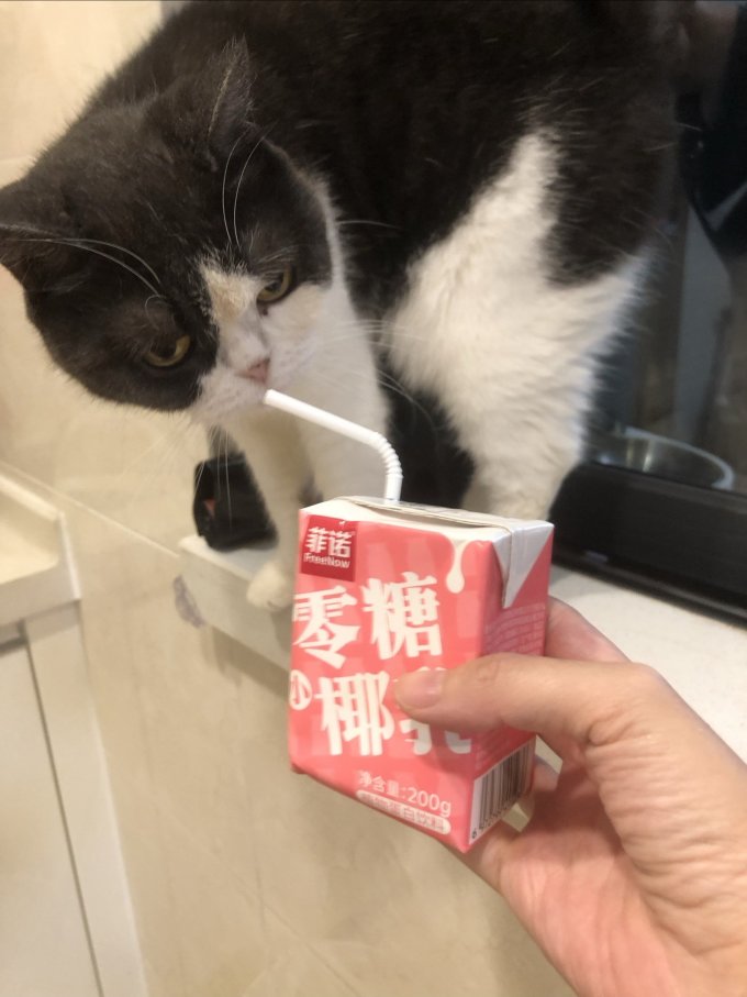 菲诺乳饮料