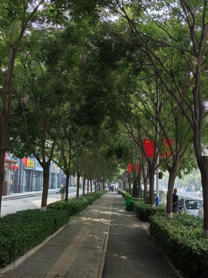 贝诺宁洗鼻器