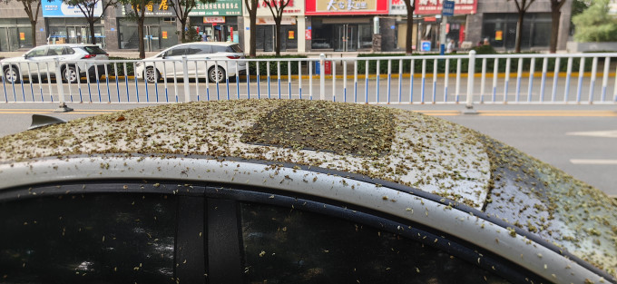 贝诺宁洗鼻器
