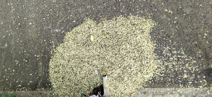 贝诺宁洗鼻器