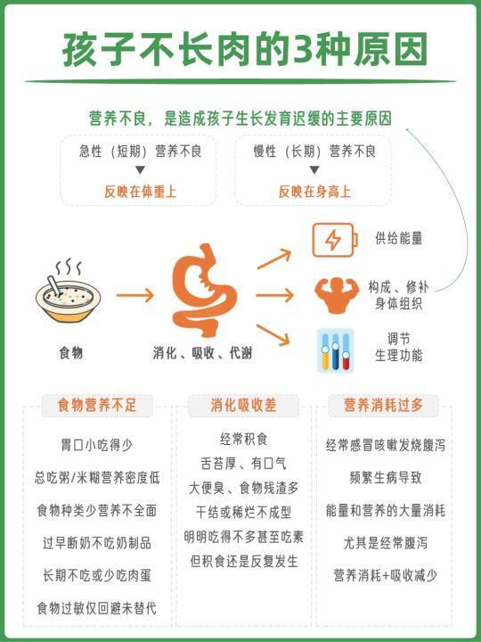 宝宝太瘦弱？健康长肉只看这3条底层逻辑