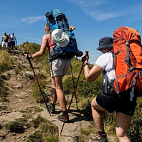 登山杖挑选秘籍大放送！这些神器让你笑傲山林，轻松避坑！