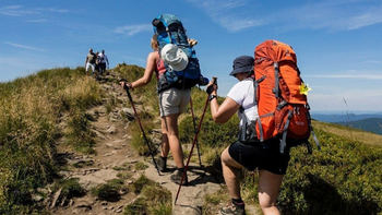 登山杖挑选秘籍大放送！这些神器让你笑傲山林，轻松避坑！