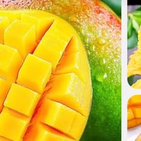 超级大的攀枝花芒果