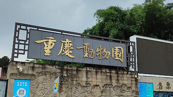 大熊猫在重庆动物园过得怎么样？