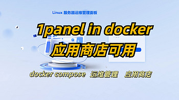 1panel in docker尝试着解决了一些问题，基本完美使用了