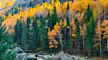 这个新疆边陲的绝密小镇，曾在地图上消失30余年！如今开放变成景区，还有唯一一条北向河流 