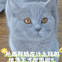 猫咪什么时候才能吃补血肝精