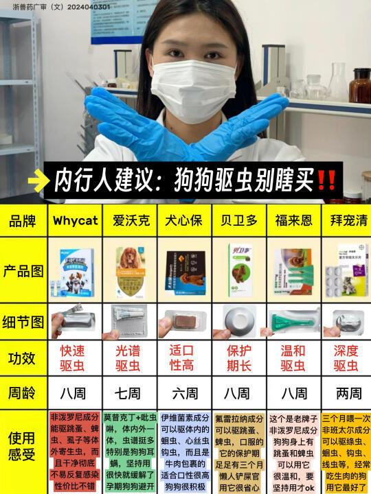 内行人建议！狗狗驱虫多做功课别瞎买！
