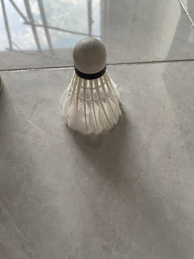 红双喜羽毛球具