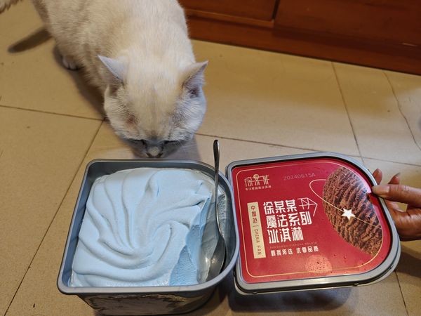 炎炎夏日，想要凉爽感受怎能少了冰激凌？