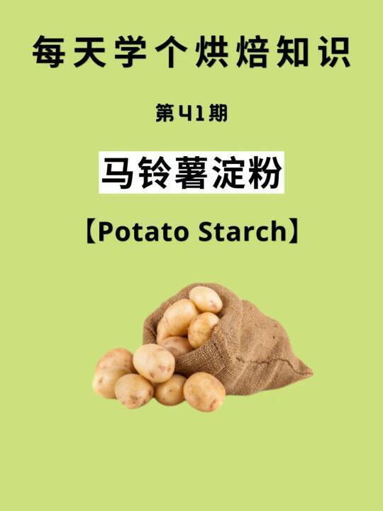 每天学个烘焙小知识「马铃薯淀粉」