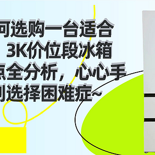 预算3000如何选购一台适合自己的冰箱，3K价位段冰箱各实用技能点全分析，心心手把手带你告别选择困难症