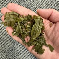 六安瓜片，夏日一剂小清新