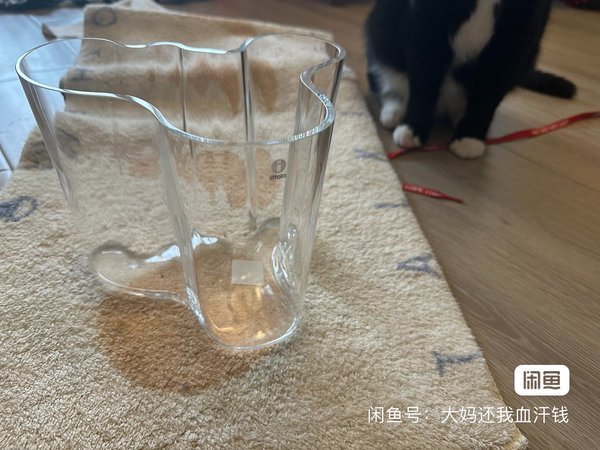 800块花瓶被快递摔碎