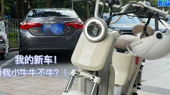 小牛电动车