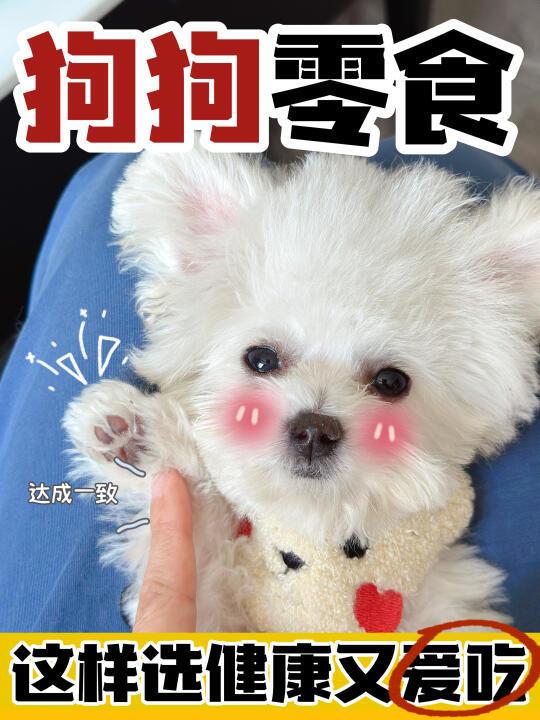 新手必知‖狗狗烘焙零食这样选，爱吃又健康