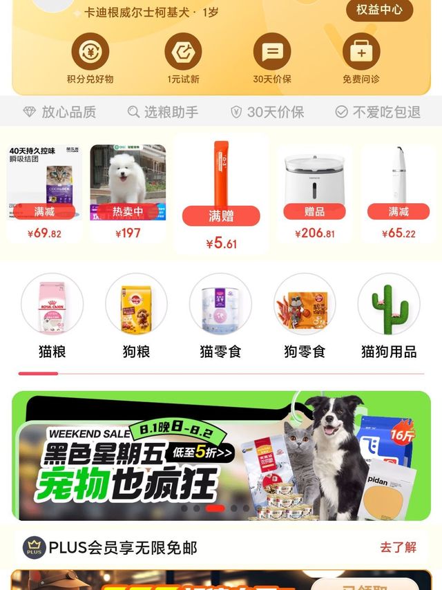 宠物馆生日礼给了个寂寞，谁懂啊？