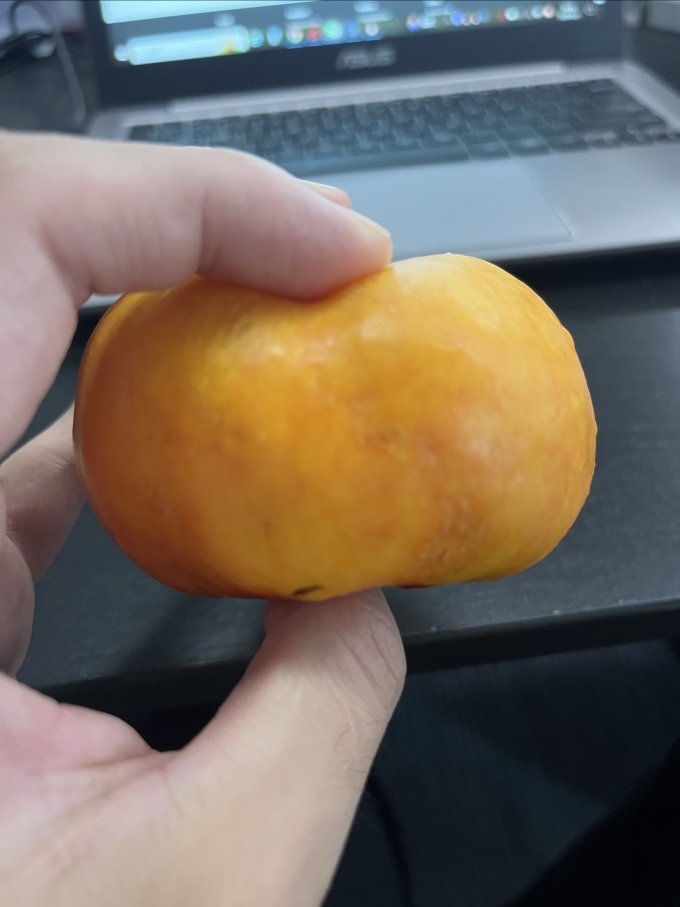绿养道其他水果