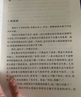 《尘埃落定》：一部藏族土司家族的兴衰史