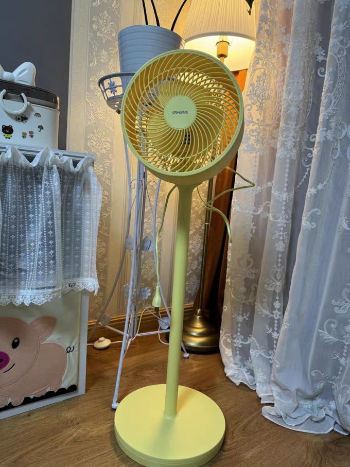 皇家惠人空气循环扇电风扇家用落地扇静音遥控立式涡轮台式宿舍