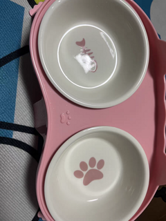 猫碗陶瓷猫食盆猫咪饭碗双碗斜口狗狗碗喝水碗保护颈椎防打翻用品