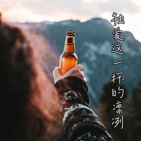 拉格啤酒红黑榜，让你爽爆了的是哪一款？