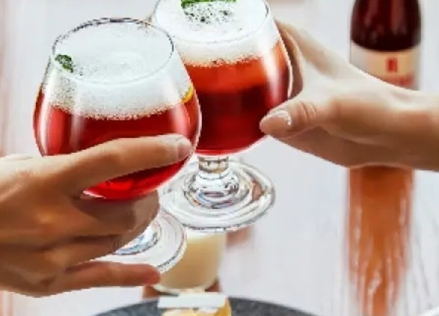 罗登巴赫酸甜果味啤酒，250ml小瓶装，适合家庭聚会吗？